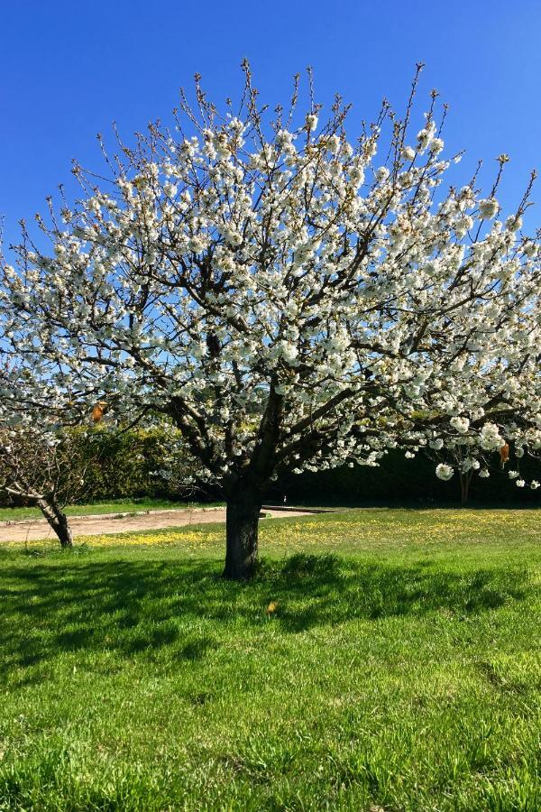 فندق Domaine De Carraire آيكس أومبروفينس المظهر الخارجي الصورة